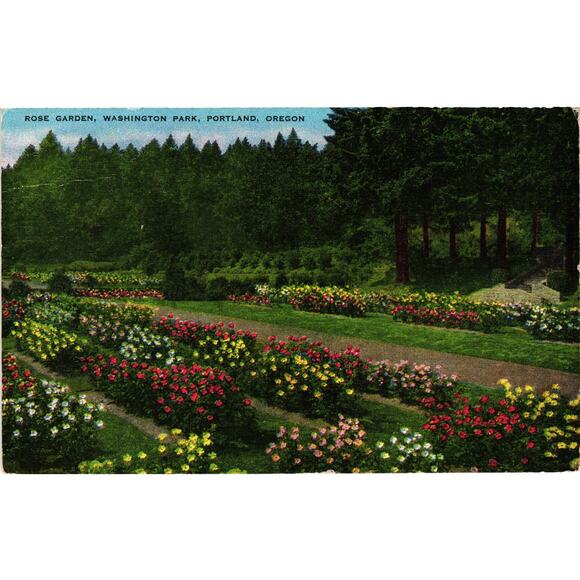 Linen Postcard Rose Garden Washington Park Portland Oregon E C Kropp Co - Picture 1 of 2